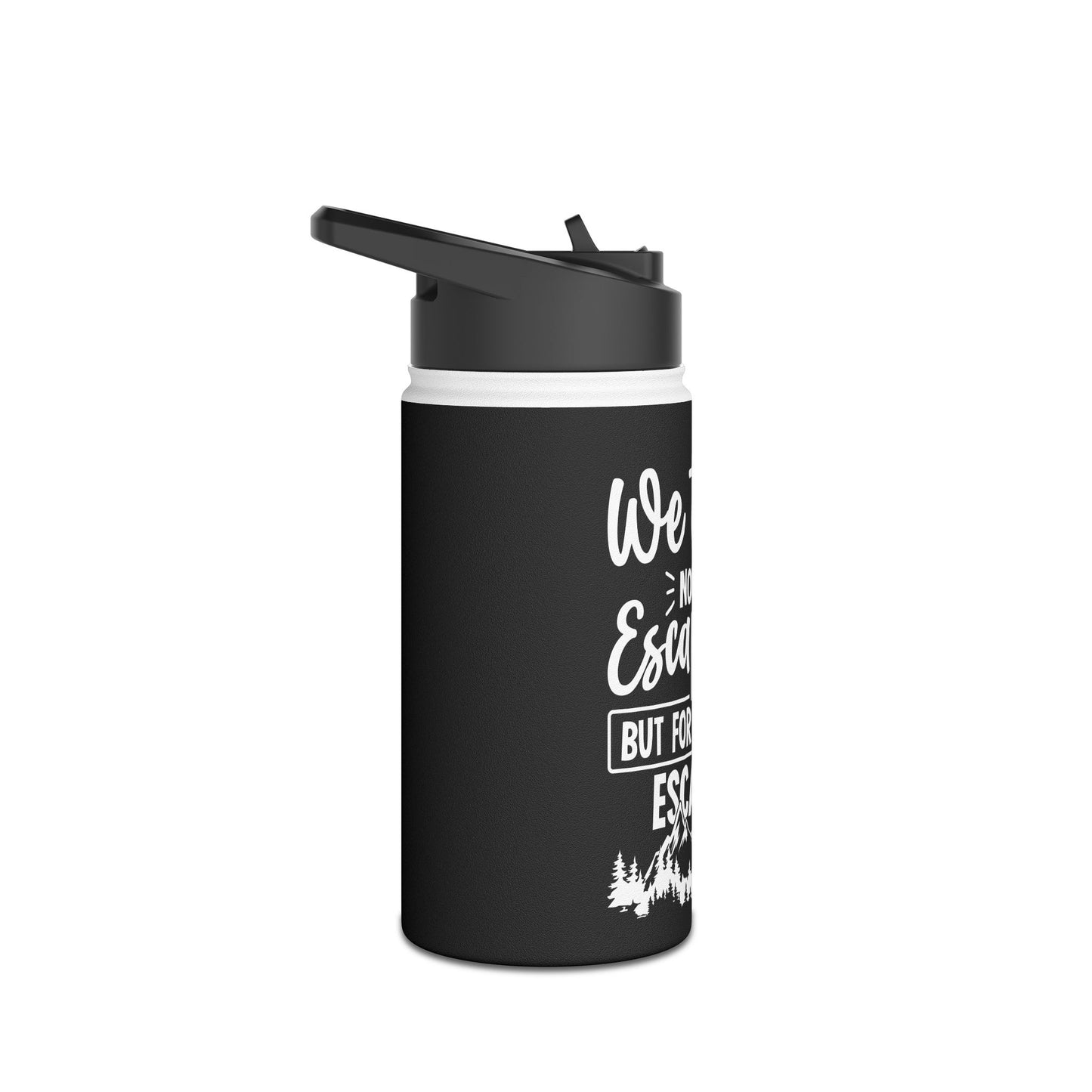 Stainless Steel Water Bottle, Standard Lid