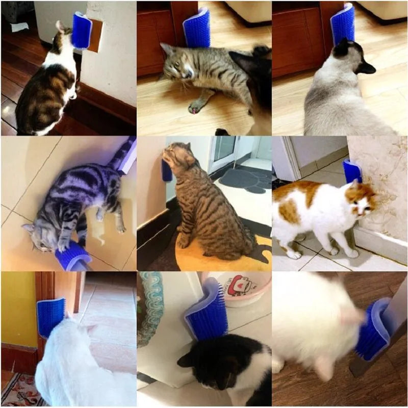 Cat Self Groomer Scratcher