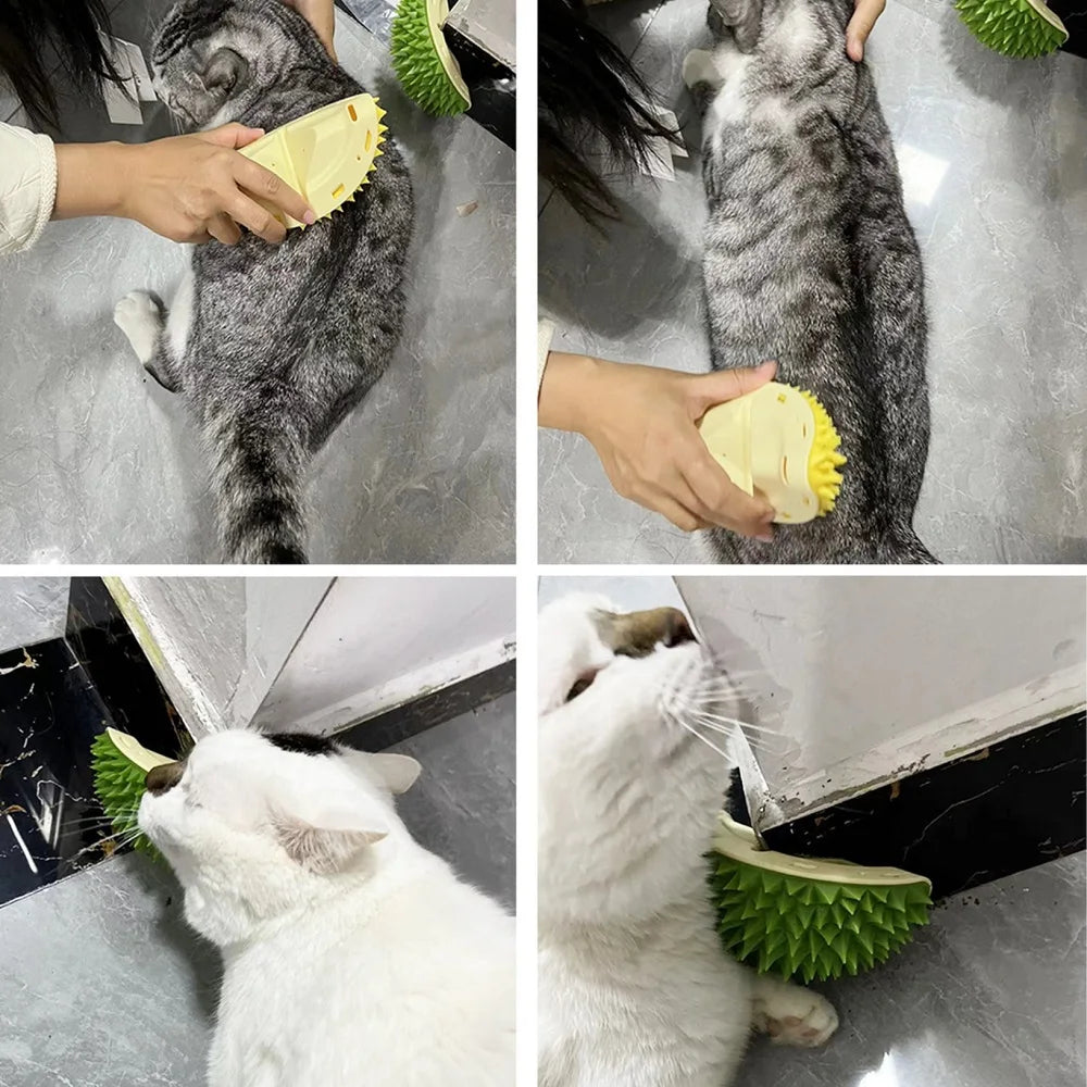 Cat Self Groomer Scratcher